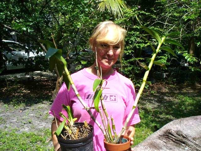 Madeline Bohannon of Fort Myers, a master grower, BioWashes flowers
